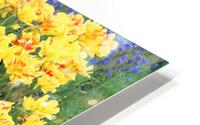 IMG 1375 HD Metal print