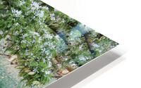 IMG 1474 HD Metal print