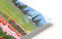 IMG 1470 HD Metal print