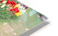 IMG 1447 HD Metal print