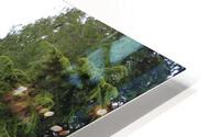 IMG 1431 HD Metal print