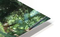IMG 1799 HD Metal print