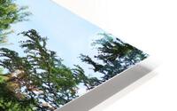 IMG 1832 HD Metal print