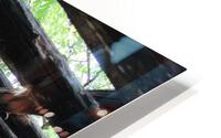 IMG 1808 HD Metal print