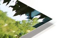 IMG 1840 HD Metal print
