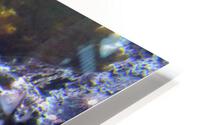 IMG 1921 HD Metal print