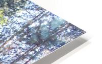 IMG 2052 HD Metal print