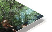 IMG 2091 HD Metal print