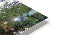 IMG 2043 HD Metal print
