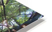 IMG 2032 HD Metal print