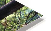 IMG 2020 HD Metal print