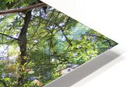 IMG 2037 HD Metal print