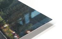 IMG 2300 HD Metal print