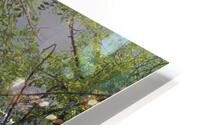 IMG 2312 HD Metal print