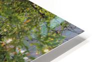 IMG 2309 HD Metal print