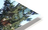 IMG 2493 HD Metal print