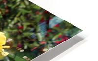 IMG 2496 HD Metal print
