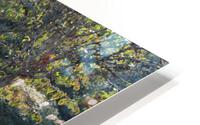 IMG 2458 HD Metal print