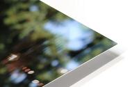IMG 2467 1 HD Metal print