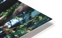 IMG 2486 HD Metal print
