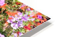 IMG 2556 HD Metal print