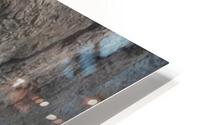 IMG 2561 HD Metal print