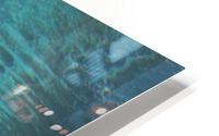 IMG 2554 HD Metal print