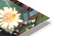 IMG 2590 HD Metal print