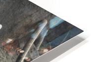 IMG 2565 HD Metal print