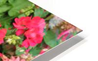 IMG 2584 HD Metal print