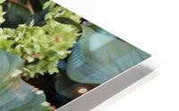 IMG 2505 HD Metal print