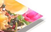 IMG 2579 HD Metal print