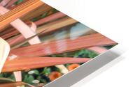 IMG 2588 HD Metal print