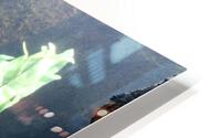 IMG 2552 HD Metal print