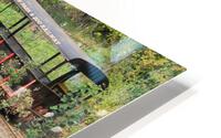 IMG 2550 HD Metal print