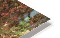 IMG 2600 HD Metal print