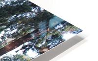 IMG 2509 HD Metal print