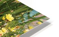 IMG 2647 HD Metal print