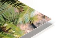 IMG 2658 HD Metal print