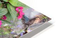 IMG 2632 HD Metal print