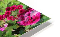 IMG 2627 HD Metal print