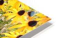 IMG 2687 HD Metal print