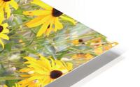 IMG 2685 HD Metal print