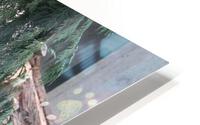 IMG 2711 HD Metal print
