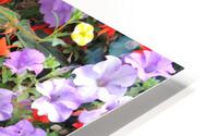 IMG 2726 HD Metal print