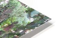 IMG 2742 HD Metal print