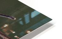 IMG 2730 HD Metal print