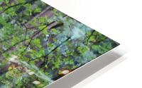 IMG 2744 HD Metal print