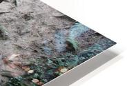 IMG 2810 HD Metal print