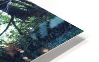 IMG 2838 HD Metal print